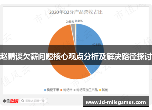 赵鹏谈欠薪问题核心观点分析及解决路径探讨