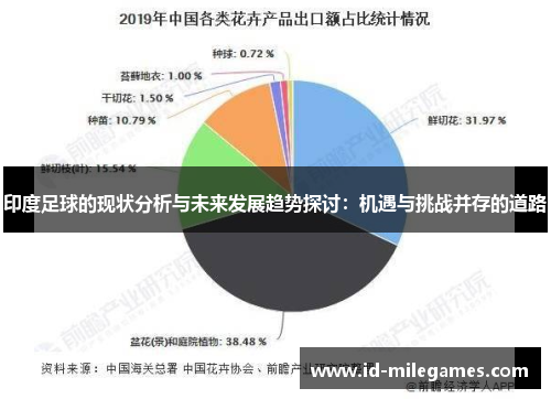 印度足球的现状分析与未来发展趋势探讨：机遇与挑战并存的道路