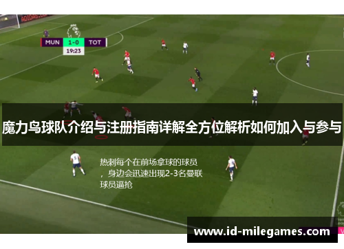 魔力鸟球队介绍与注册指南详解全方位解析如何加入与参与